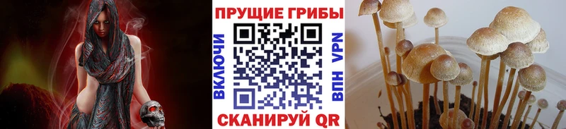 Псилоцибиновые грибы мухоморы  Купить закладки  Свирск 
